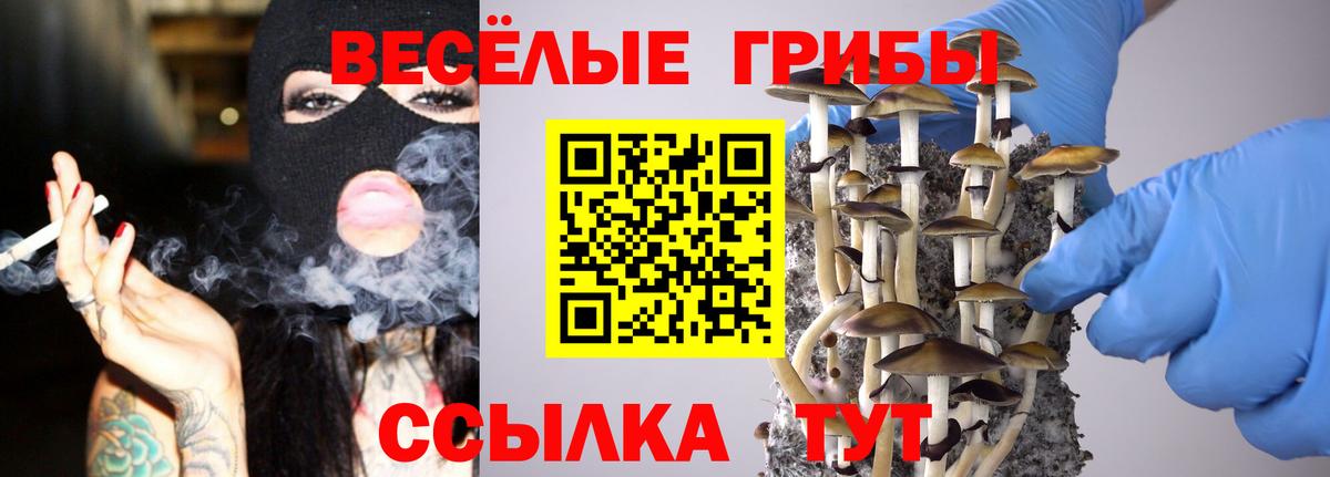 Галлюциногенные грибы мицелий Татарск