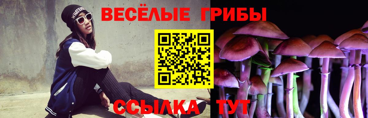 Галлюциногенные грибы Psilocybine cubensis  где можно купить наркотик  Татарск  Вход с VPN  Псилоцибиновые грибы Magic Shrooms 